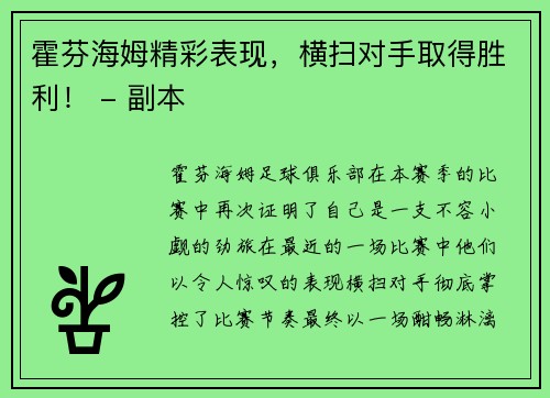 霍芬海姆精彩表现，横扫对手取得胜利！ - 副本